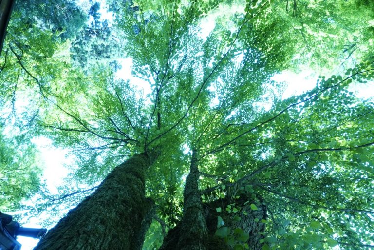 株式会社　兵衛